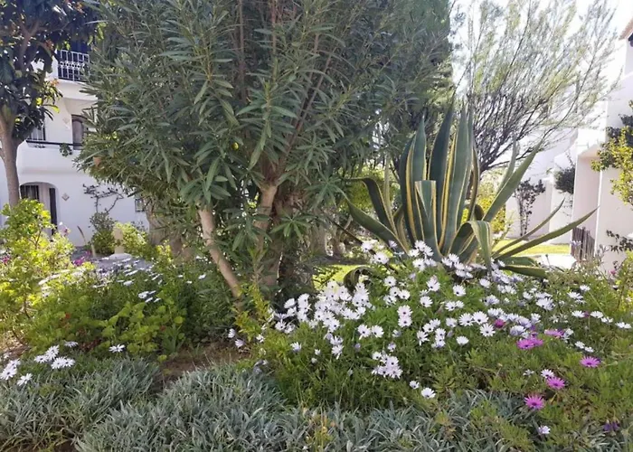 Sao Rafael Holidays 阿尔布费拉